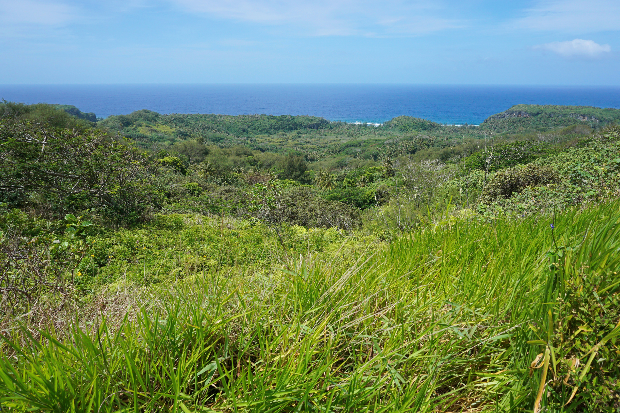 rurutu, austral islands.webp